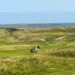 GOLF’S GREATEST HOLES LAUNCH NEW SERIES ON SKY SPORTS – Golf News