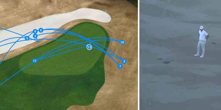 Tour pro was 25 yards from the hole. Then came the inconceivable