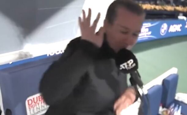 Chair Umpire Ducks Wild Return