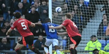 Man Utd got lucky against Everton after major VAR blunder meant referee saw WRONG footage of Everton penalty claim