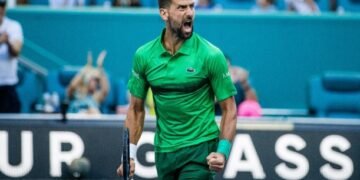 Djokovic: Amazing Standard