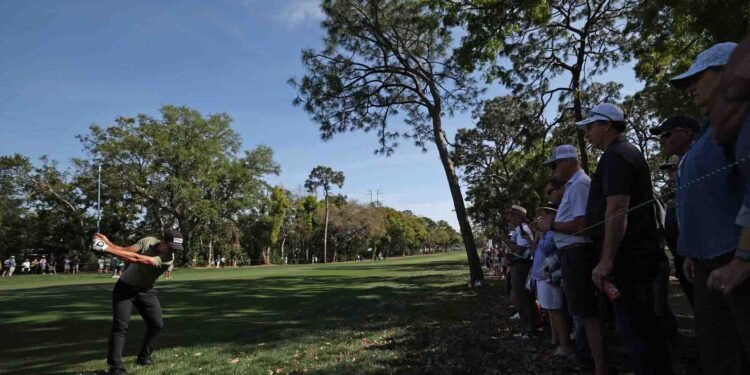 How much every player made