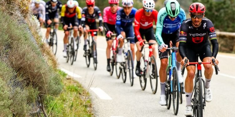 Michael Storer hails Julian Alaphilippe as ‘most important rider’ in delivering Australian’s Paris-Nice stage win